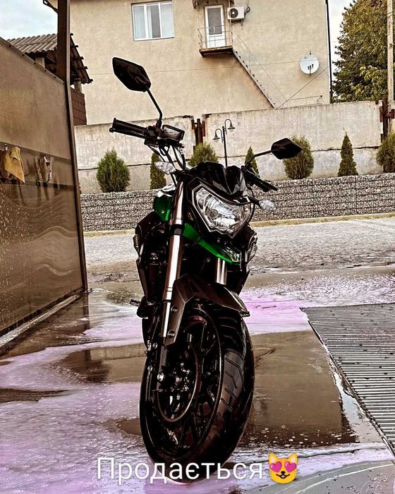 senke leopard 300
