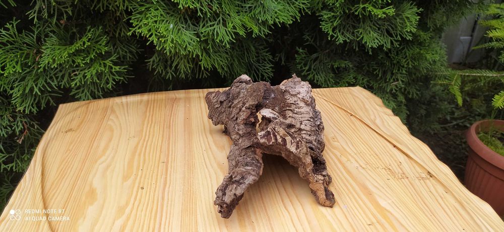 Grota z dębu korkowego+10 kamieni bazaltowych