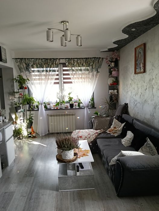 Mieszkanie bez czynszowe w cichej i spokojnej okolicy