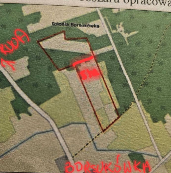 Ziemia  Borsukówka 5 ha z możliwością podziału na działki siedliskowe