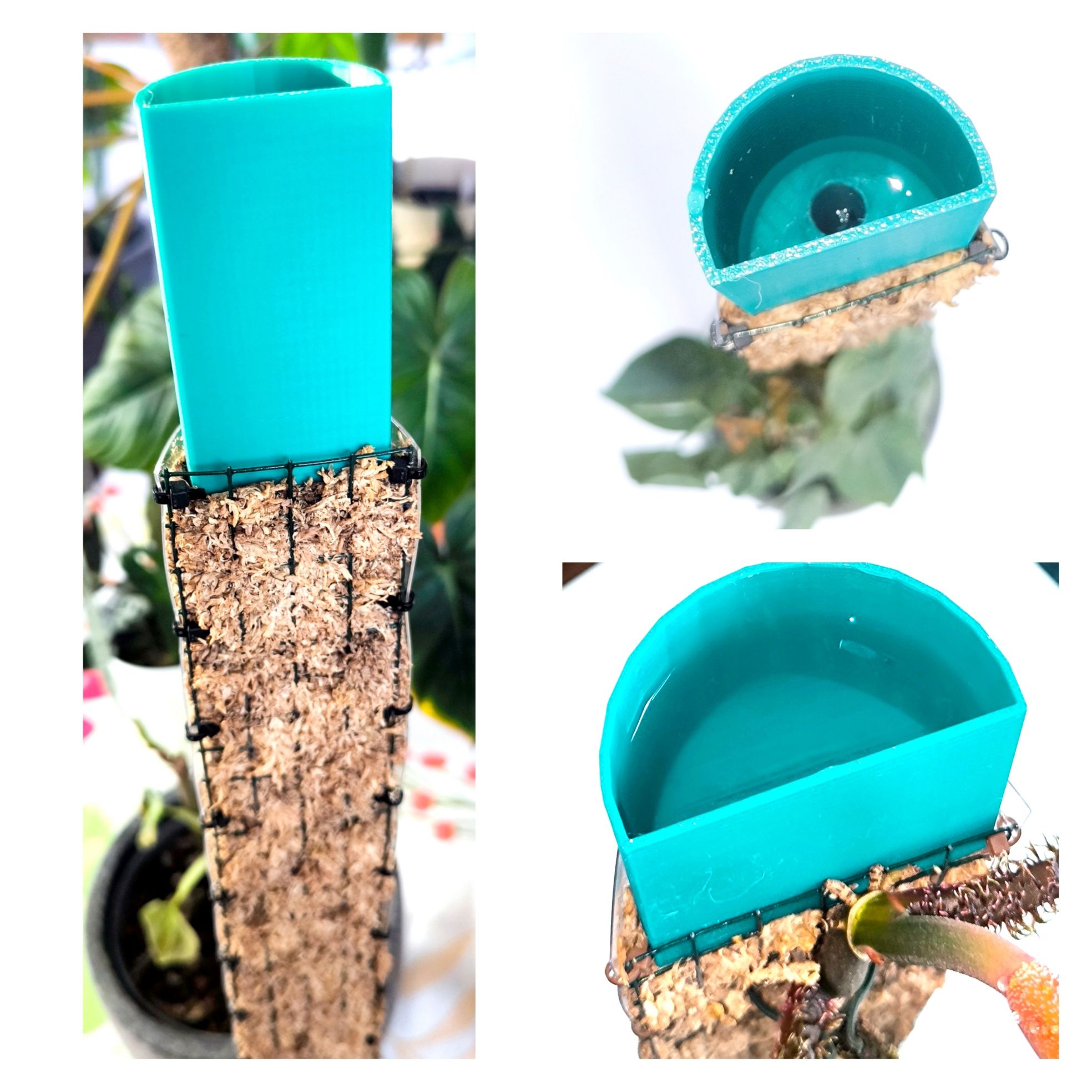 Palik grow vertical z mchu sphagnum hydroponika gruz bigos