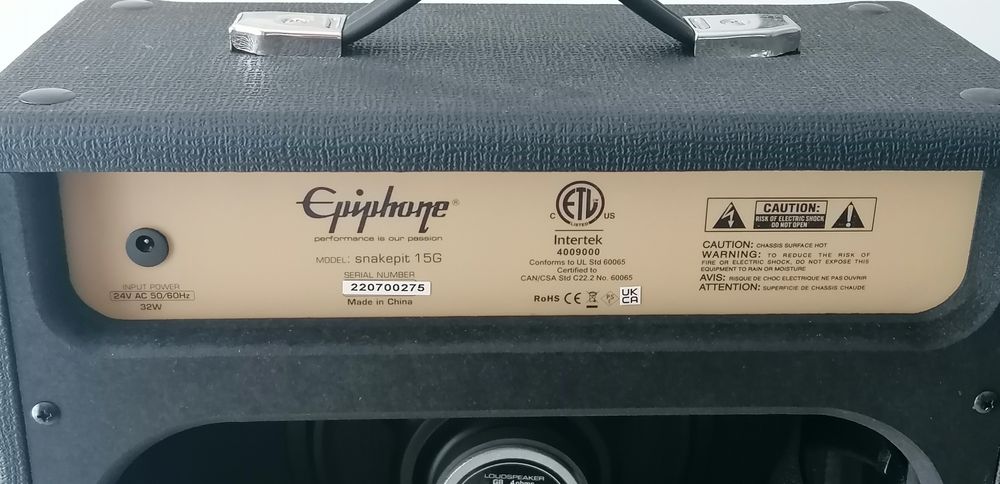 Epiphone Slash SnakePit 15G