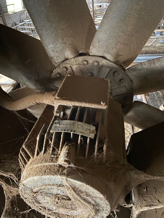 Ventoinha para vacaria