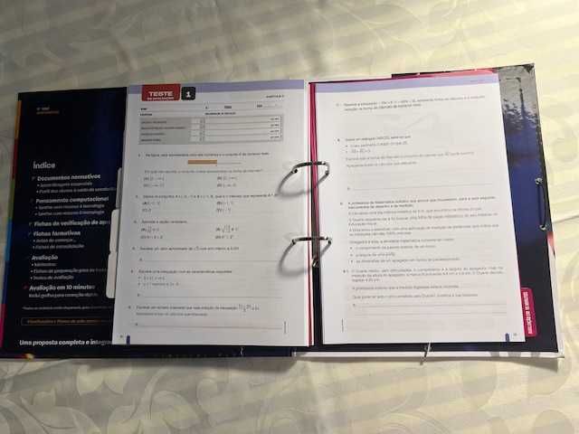 Agora Matemática! 9  - Matemática - 9º ano - Projecto Professor - Novo