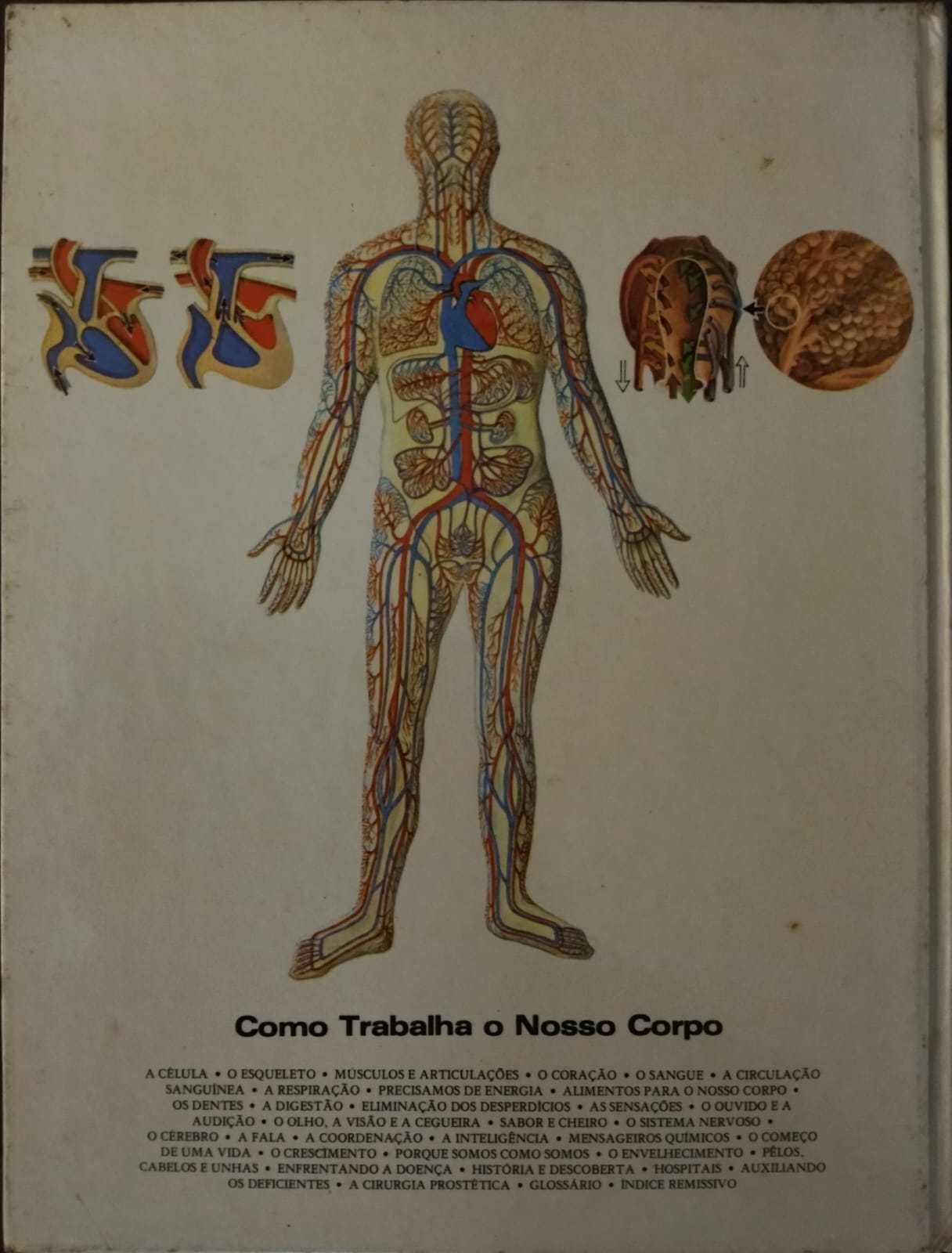 Como trabalha o nosso corpo - Ron Wilson