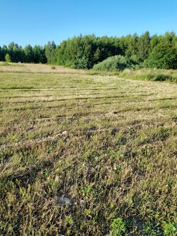 Działka budowlana z oczkiem wodnym przy lesie