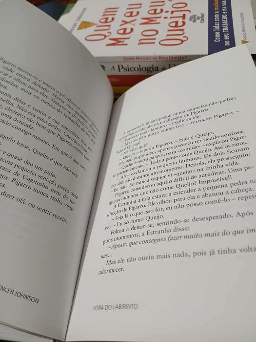 Fora do Labirinto - Dr. Spencer Johnson
