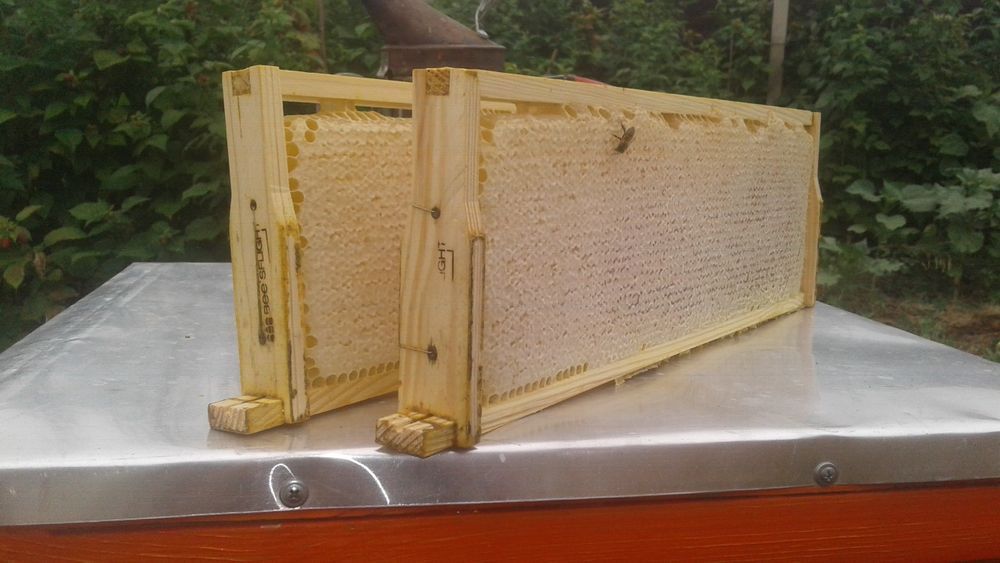 Знижка. Акція.  Продам мед з соняшника. Умови в описі.