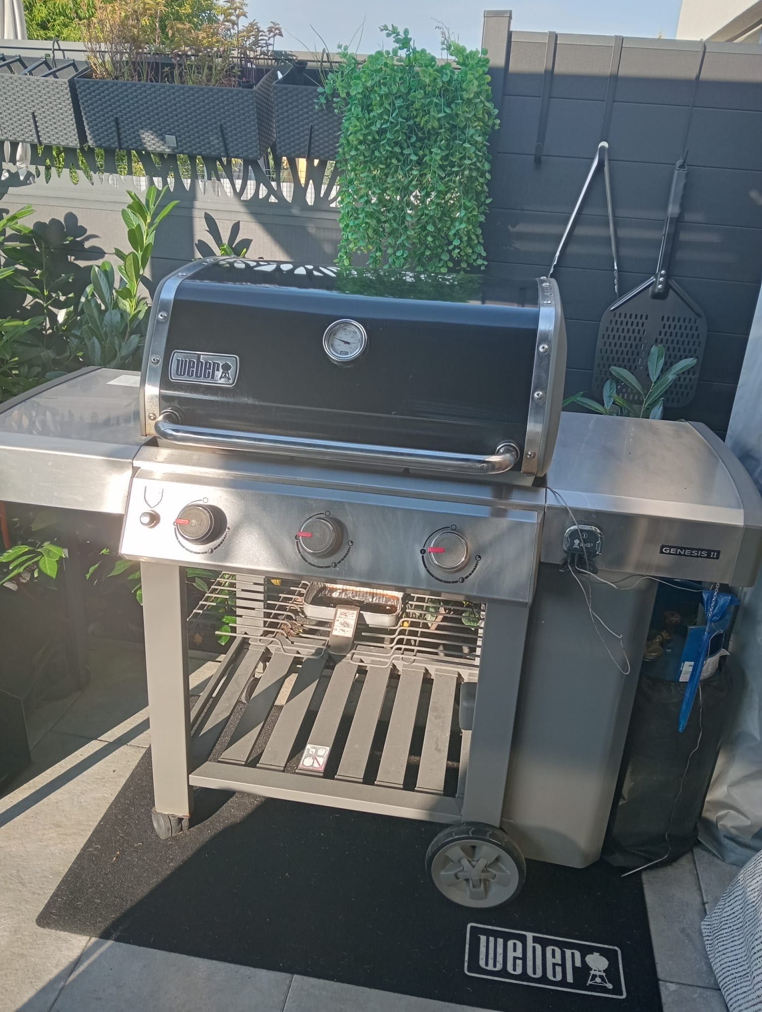 Grill Weber genesis II