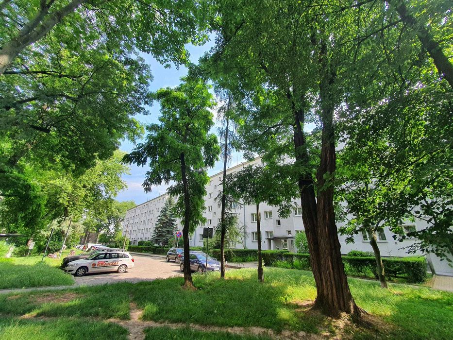 Kawalerka blisko centrum , Wileńska, 5 min UR, klimatycznie i zielono