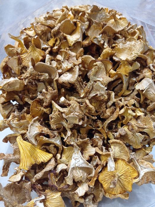 Kurki grzyby suszone, pieprznik jadalny, odrobaczenie