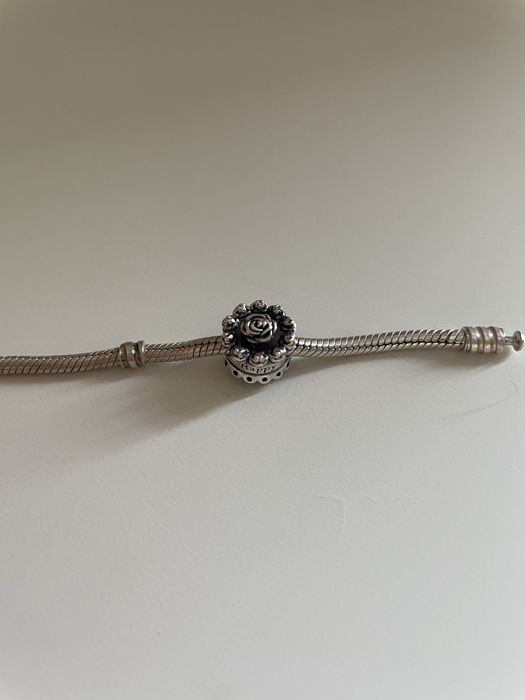 Pandora conta bolo de aniversario