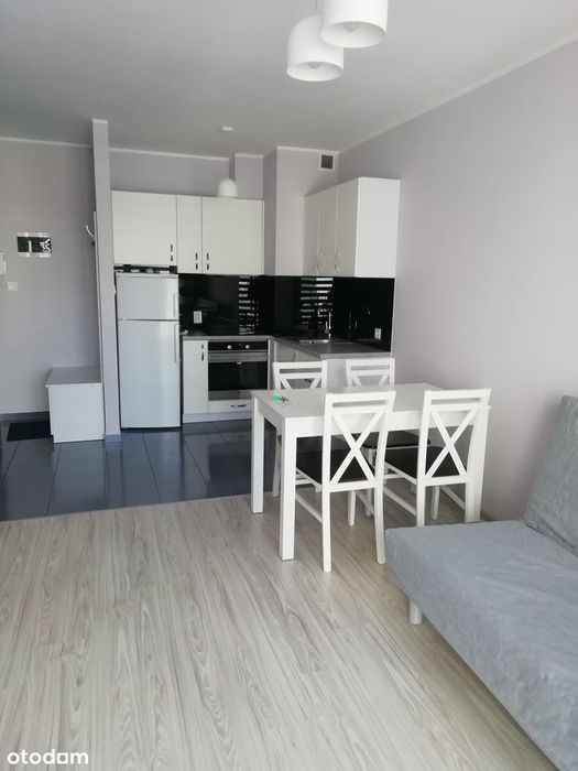 do wynajęcia 2-pokoje, 40 m2, ul. Hawelańska, Winogrady