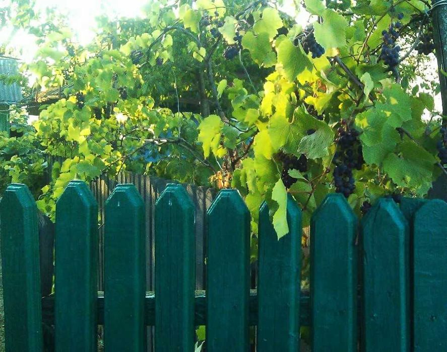 Будинок с.Валява Кіцманський р-н