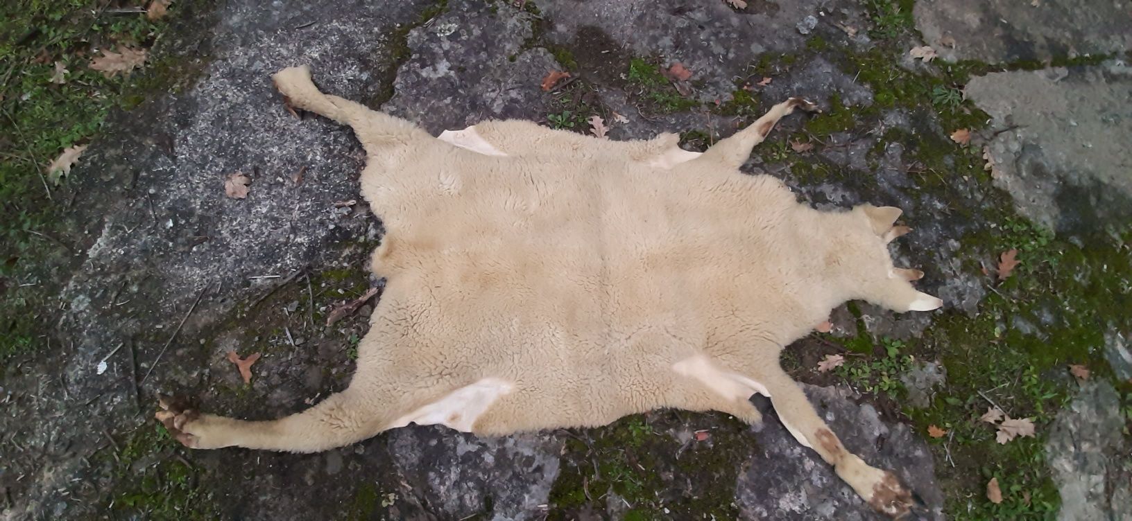 Tapete pele carneiro