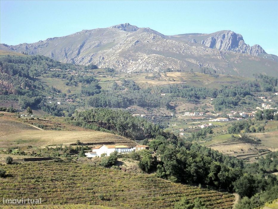 Terreno  para venda