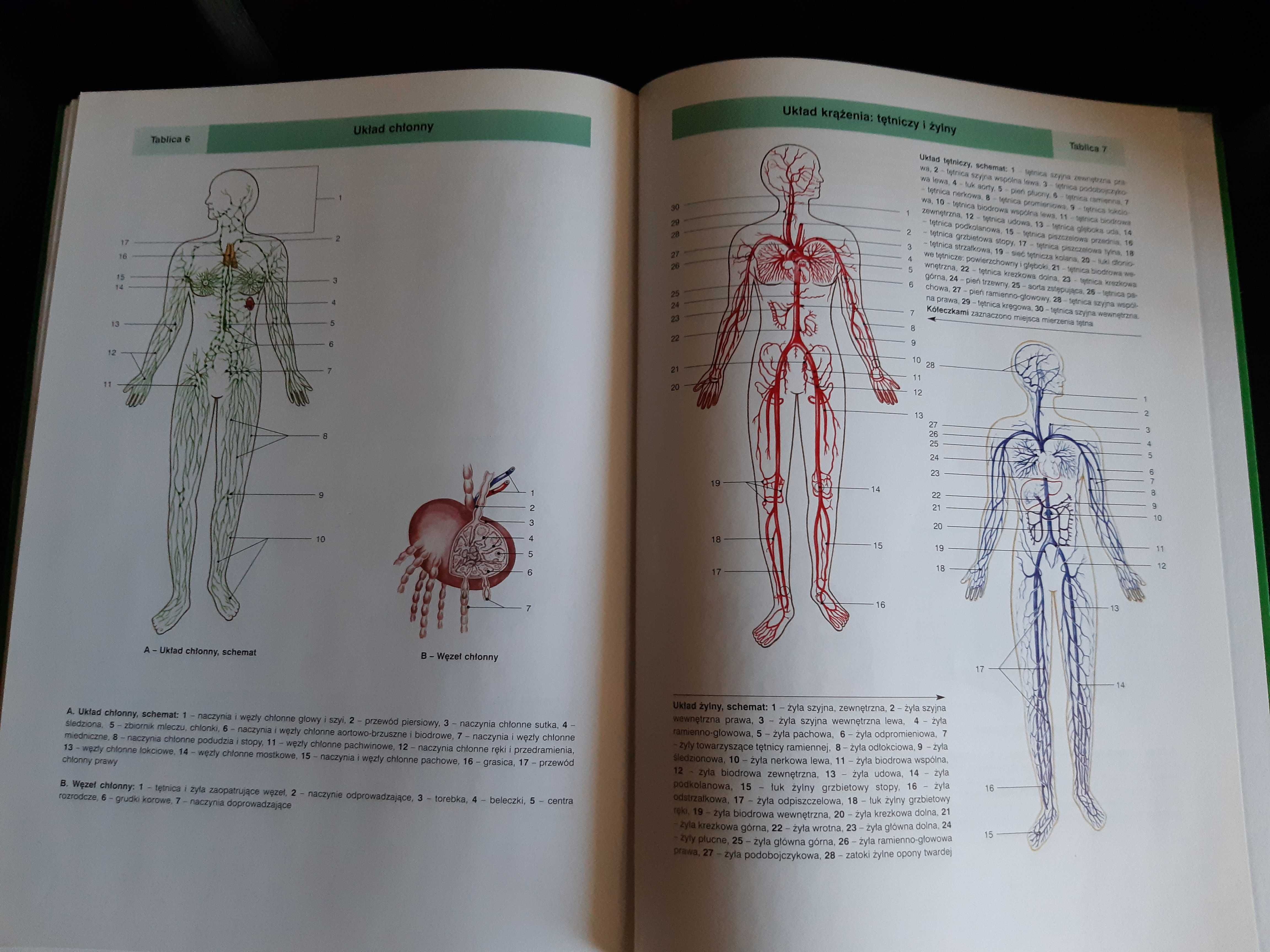 Encyklopedia zdrowia rodziny Tom I