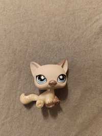 Littlest pet shop kotek syjamski