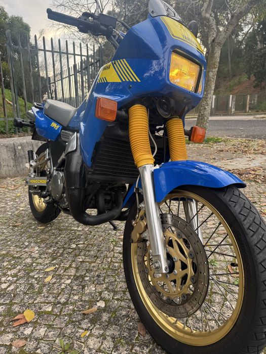 Yamaha TDR 250 ypvs 1989