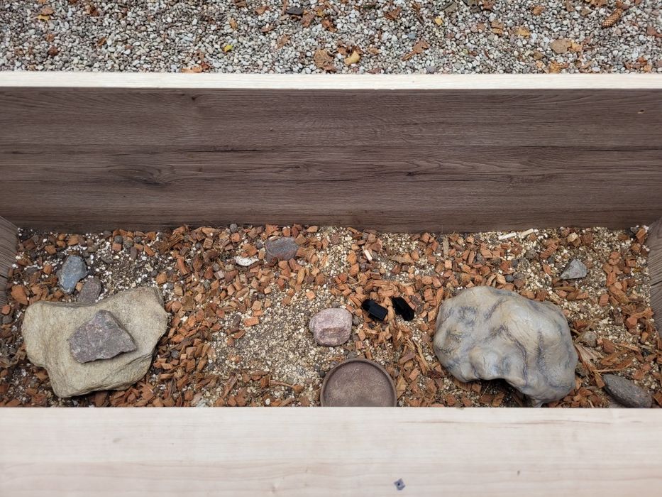 Terrarium dla żółwia