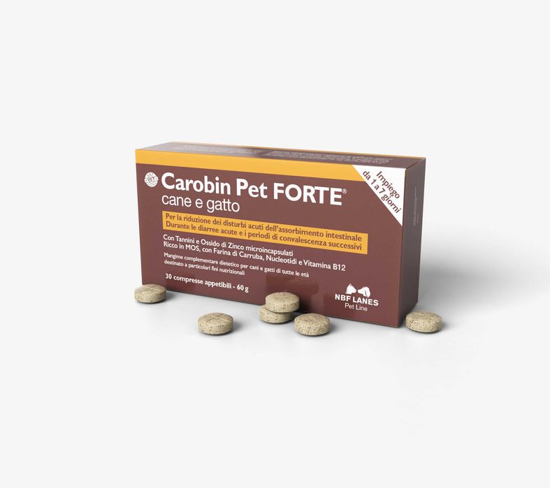Carobin Pet FORTE dla kota, dla psa NBF Lanes tabletki 60g