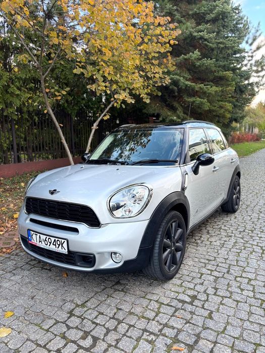 Sprzedam Anglika Mini Zarejestrowany .