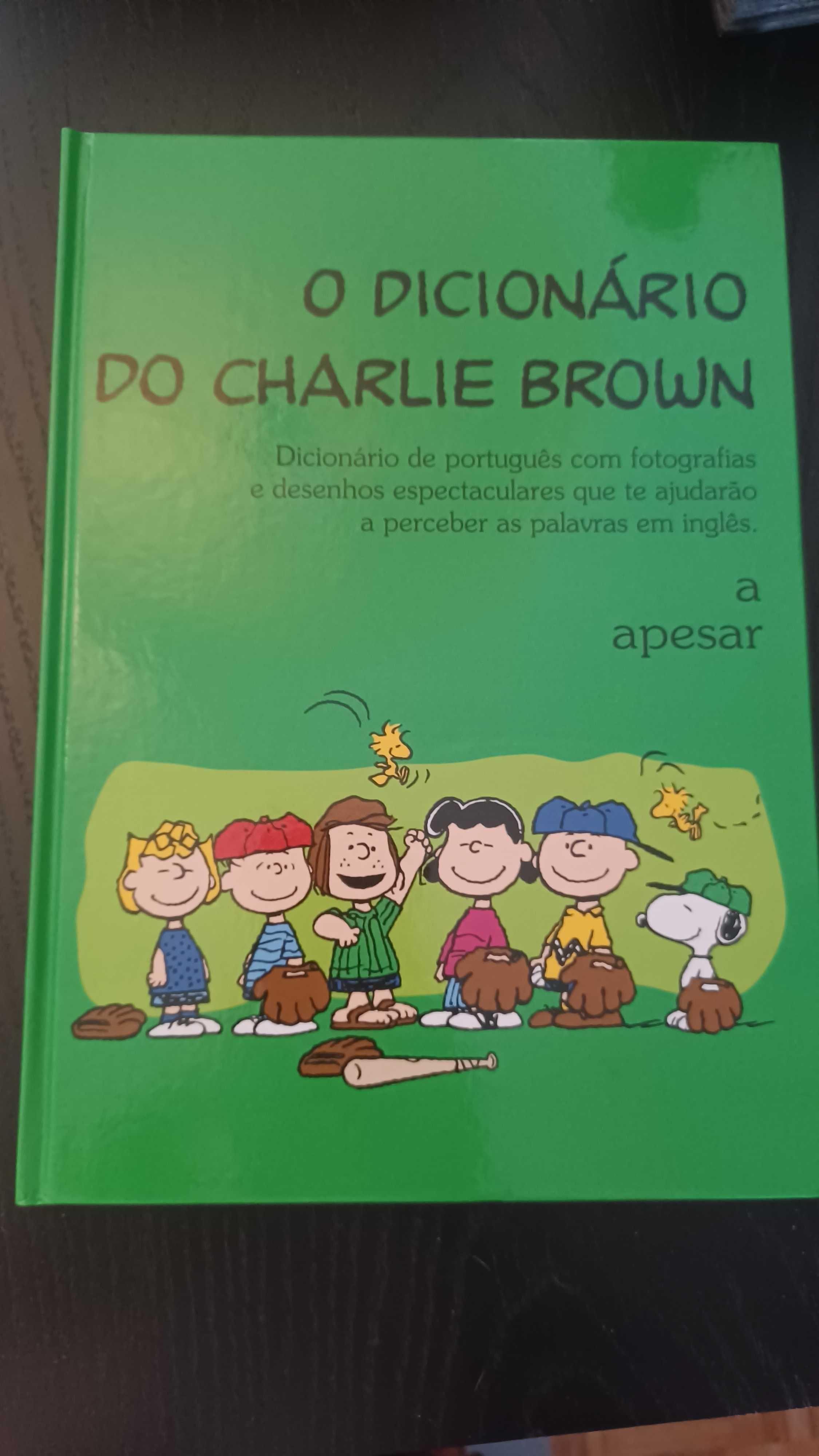 Dicionário Português Charlie Brown- 16 livros