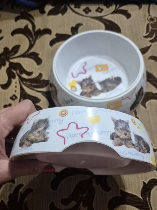 Миска для собак пластикова з зображенням цуценят йоркширського тер'єра