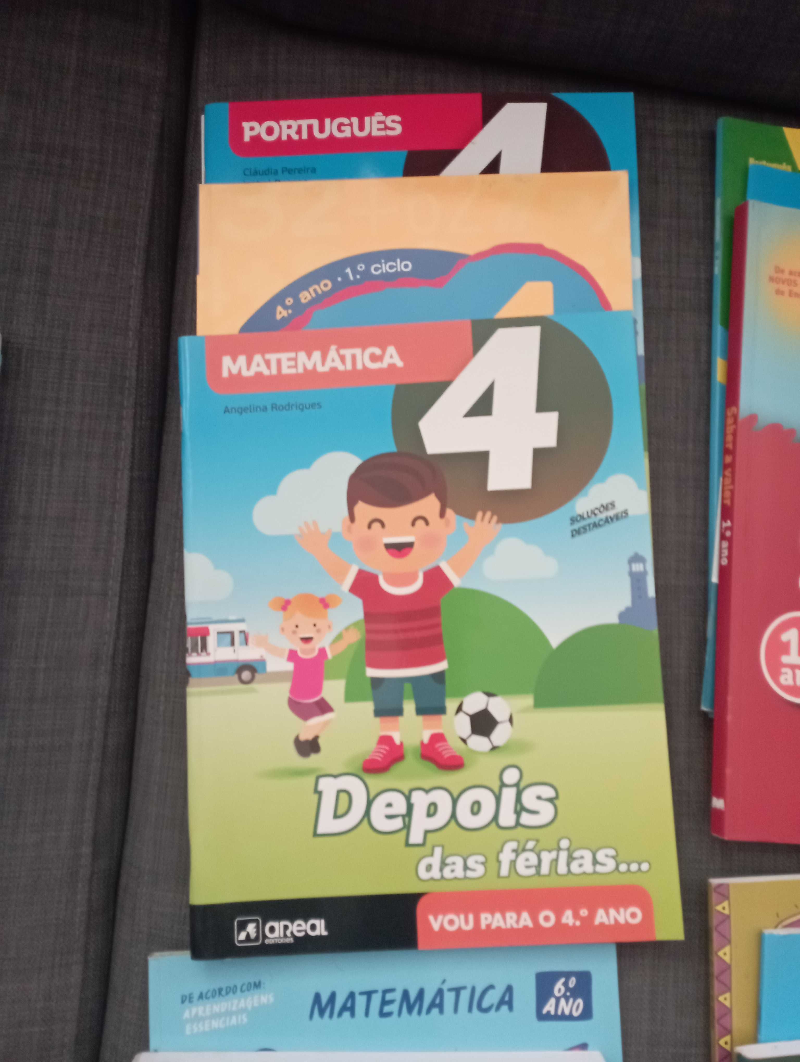 Manuais de apoio escolar - Diversos anos e disciplinas