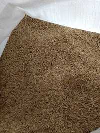 Trawa nasiona trawy Rajgras Angielski 15kg