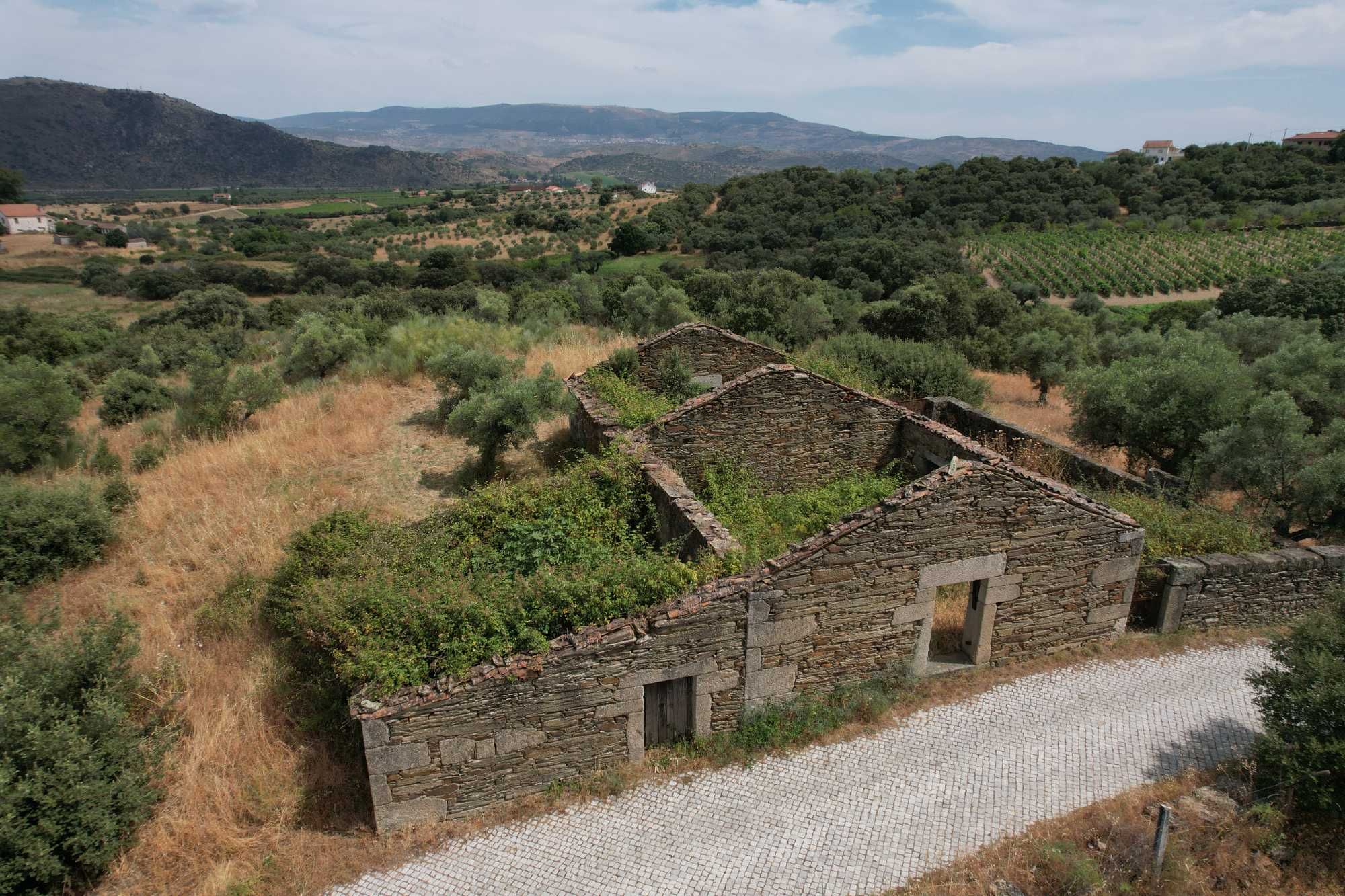 Terreno com 8 hectares, 2 Casas para reconstruir + poço e Olival