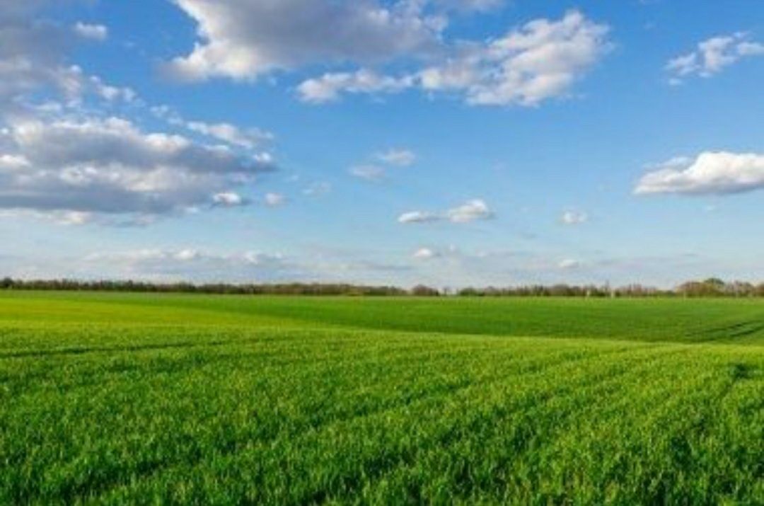Терміново продам земельний пай 4.5га чорнозем