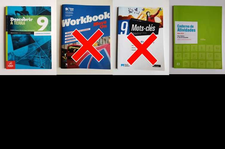 Manuais e Cadernos de Atividades 9 Ano Várias Editoras