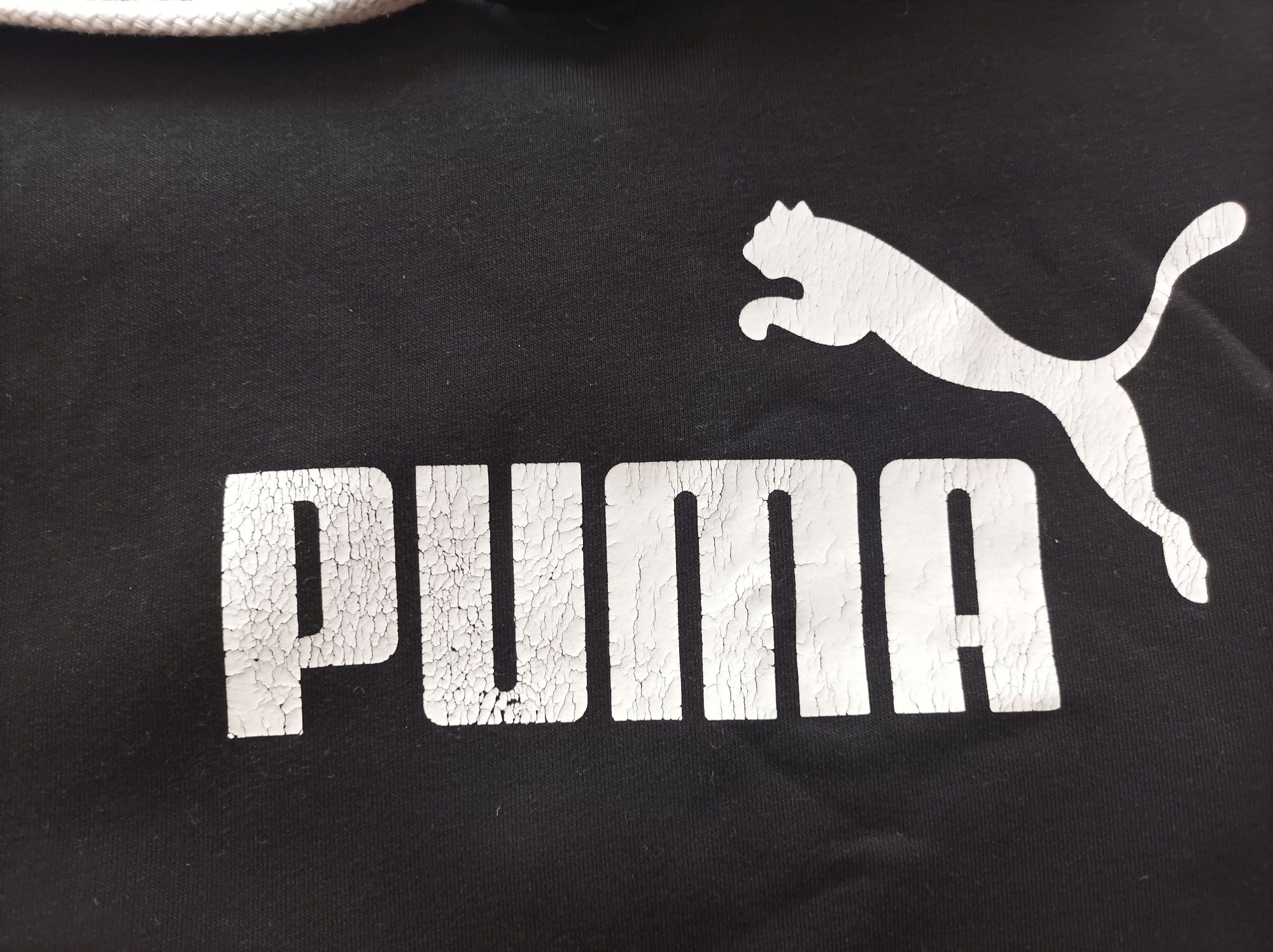 Puma спортивный костюм