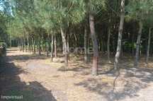 Terreno Agricola em Moita Vaqueira - Arazede