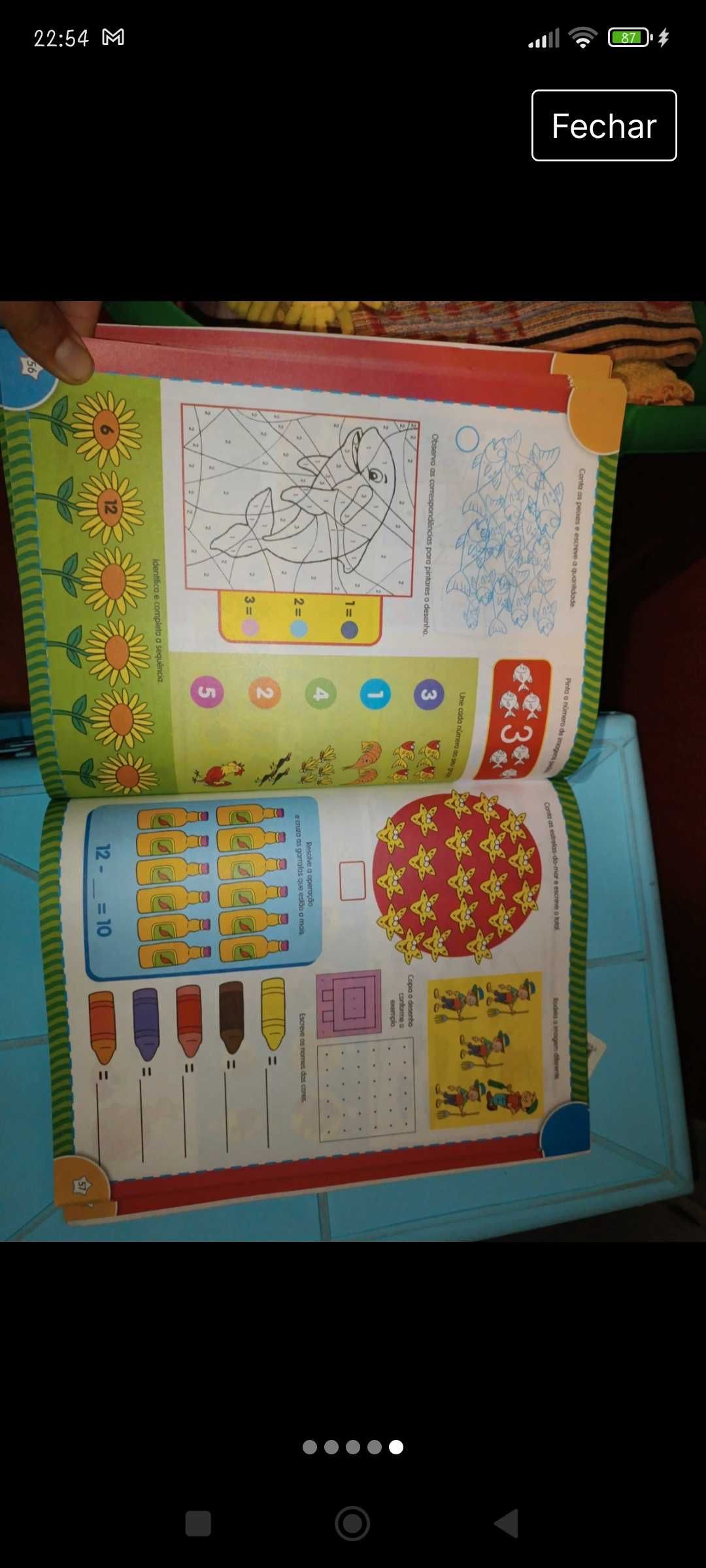 Livro actividades pré escolar