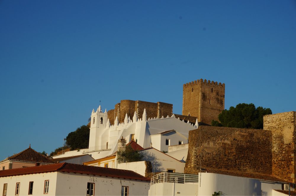 Câmara Sony alpha Nex-3N