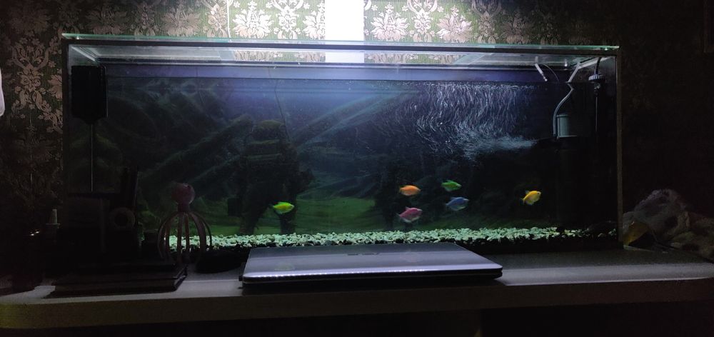 Аквариум 120 літрів
