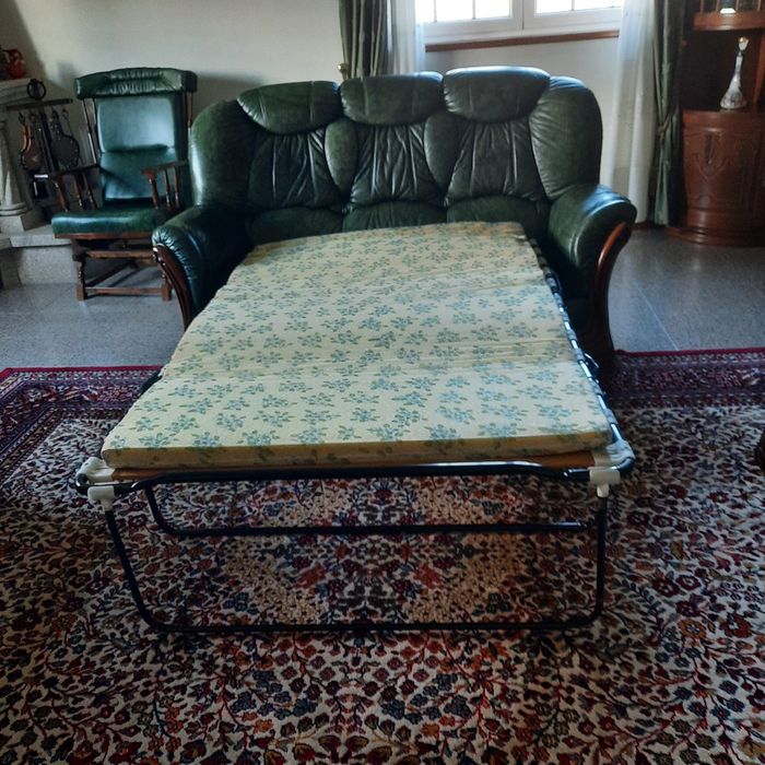 1 sofa que faz cama, 2 cadeirões + 1 carpete