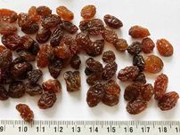 Rodzynki sułtanki jasne 10 kg jakość AA Super świeże