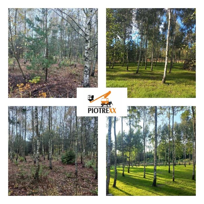 Przycinanie Drzew Ogrody Rębak Frezowanie Pni GlebogryzarkaSeparacyjna