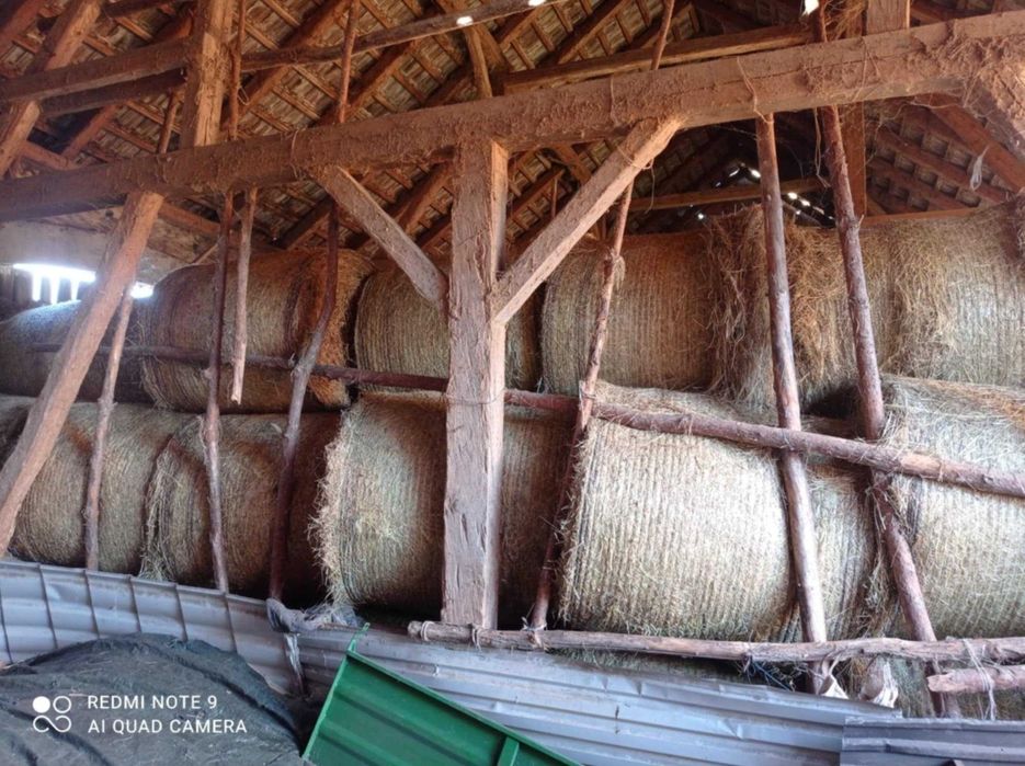 Sprzedam Siano pierwszy pokos 2025