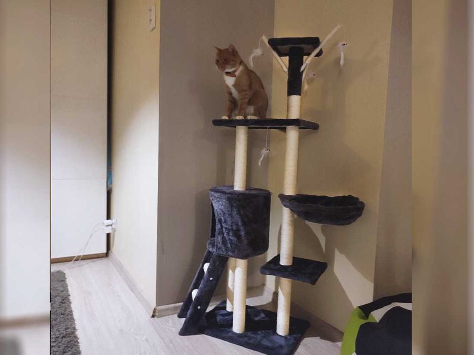 Drapak Wysoki dla Kota Wieża Legowisko XL z Wędką - Szary MT05