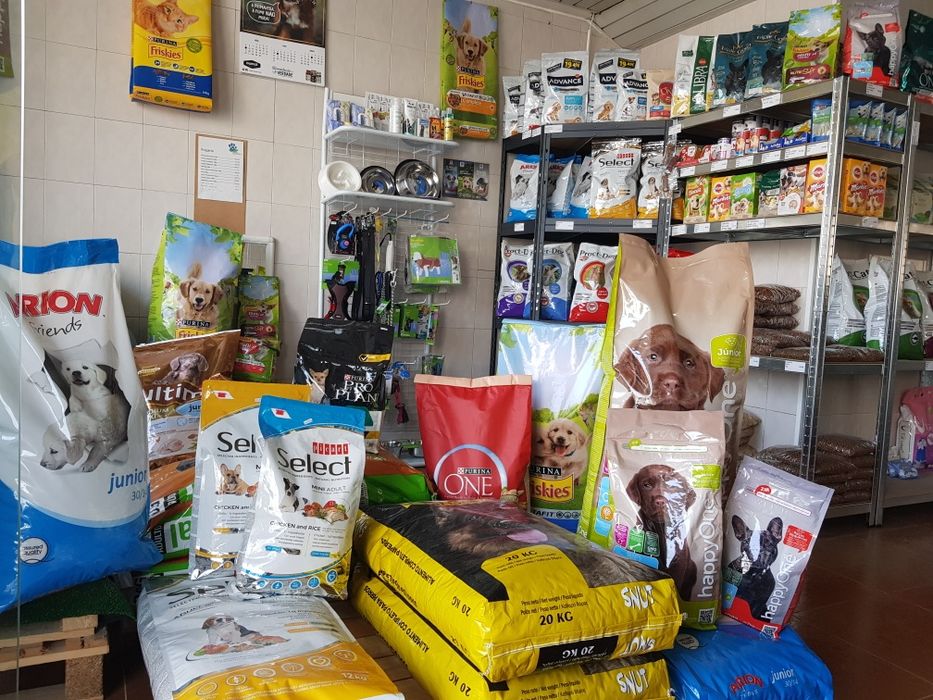 Rações secas,  húmidas e biscoitos para cão adulto, sénior e junior