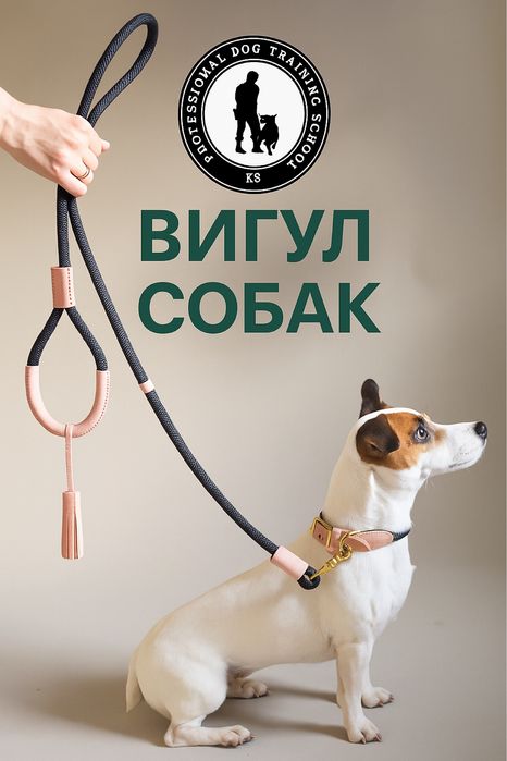 Професійний вигул собак