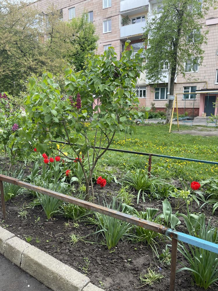 Продам чотирьохкімнатну квартиру .Район автовокзалу.