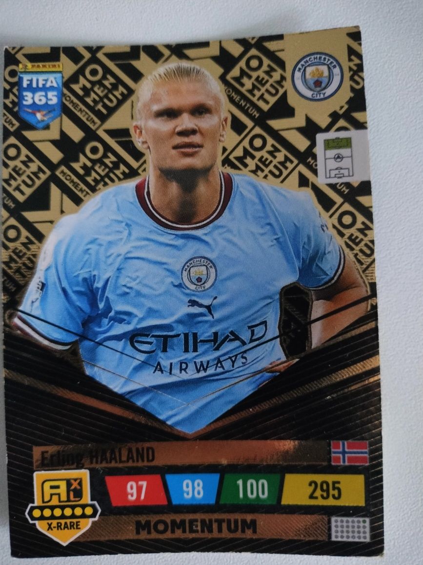 Momentum Erling Halland X-RARE 2023