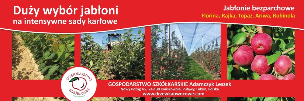 Sprzedam Grusza Konferencja