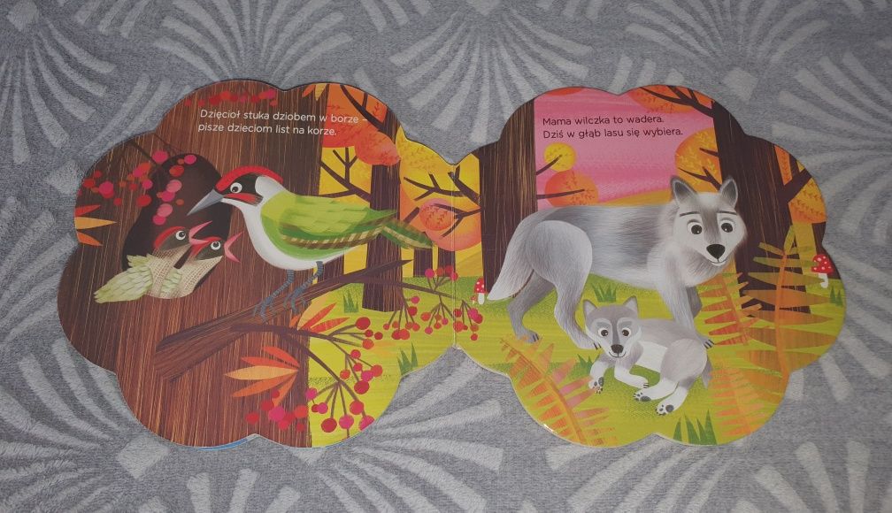 Książka Zwierzęta i ich dzieci W lesie Aksjomat