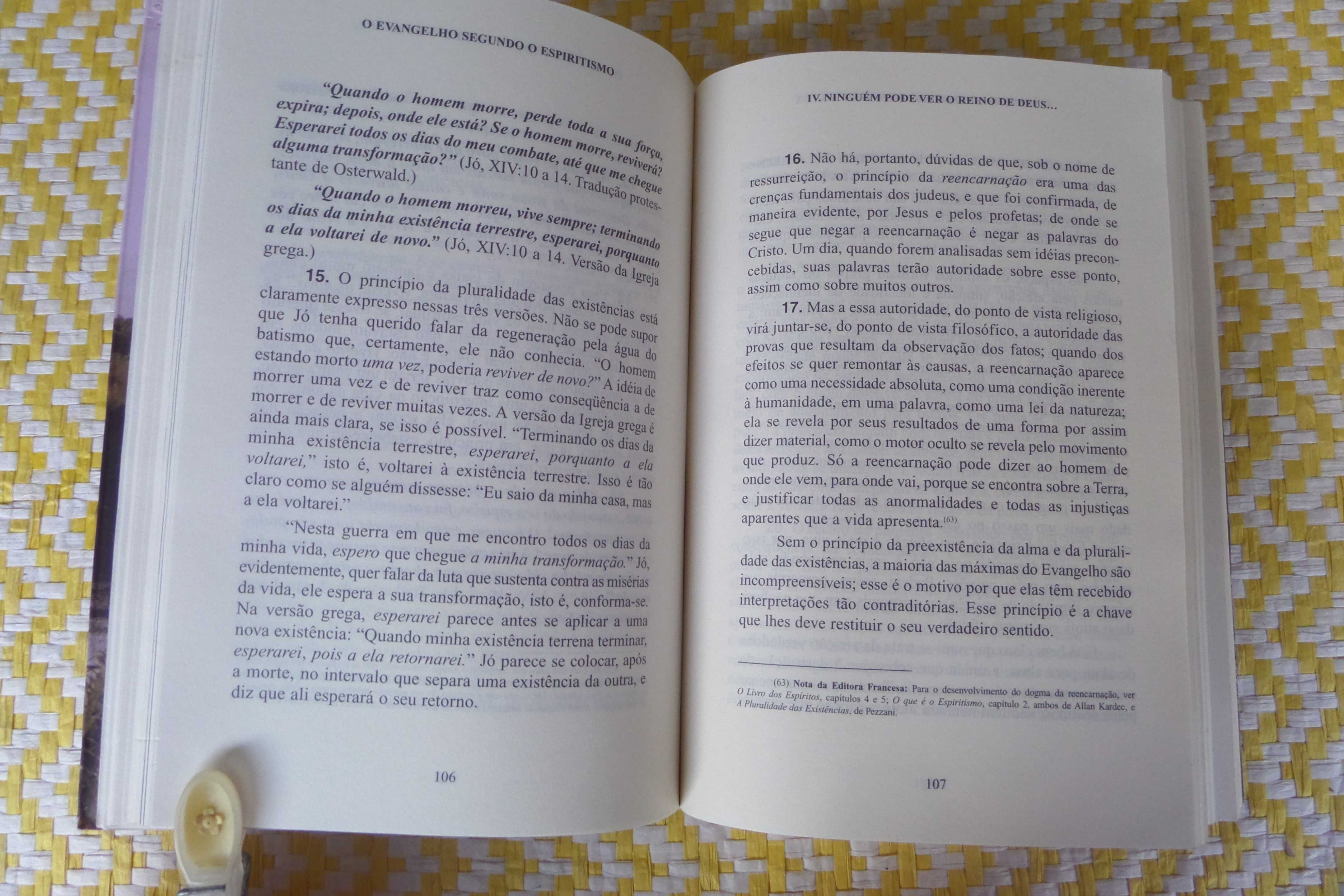 O Evangelho Segundo o Espiritismo - Allan Kardec